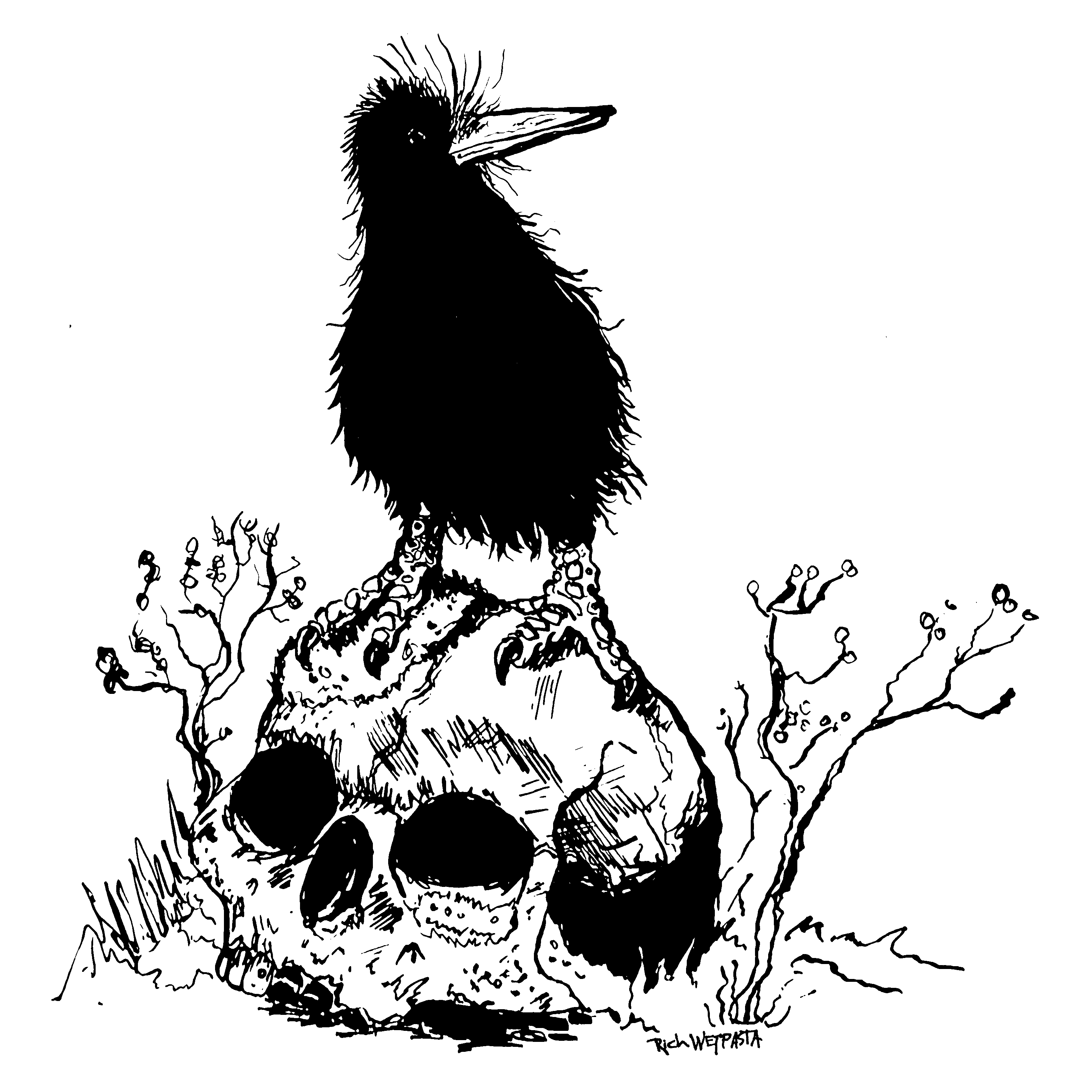 kiwi.png