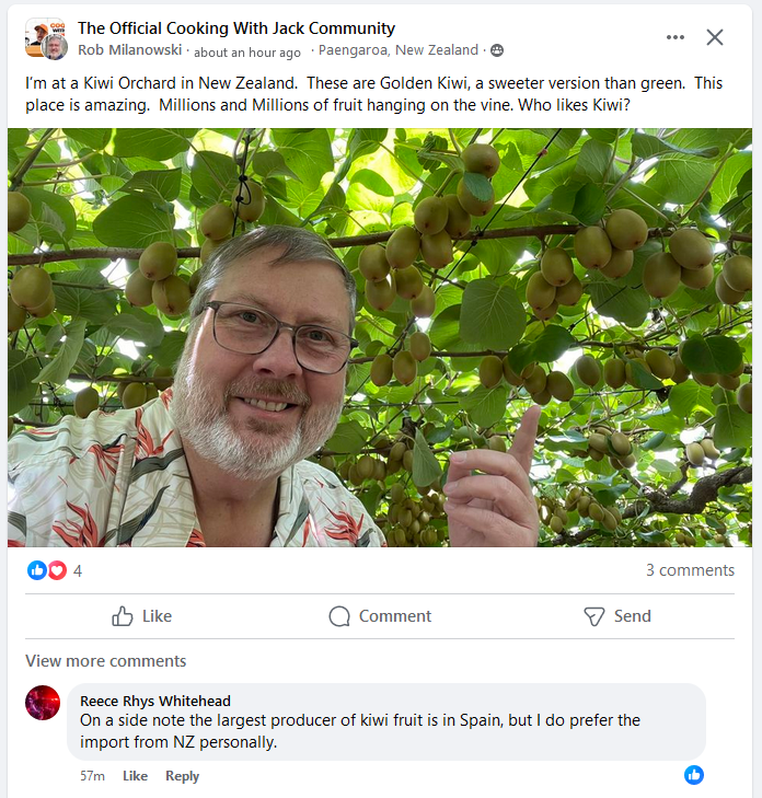 kiwi.PNG