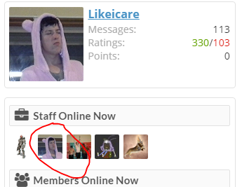kiwi staff.PNG