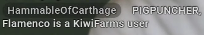 kiwi1.png
