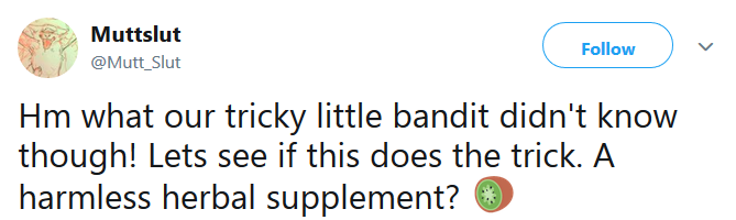 kiwi2.png