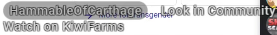 kiwi2.png