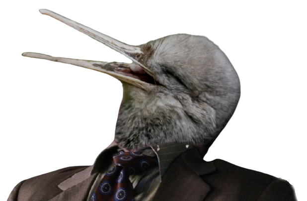 kiwi_james-removebg-preview.png