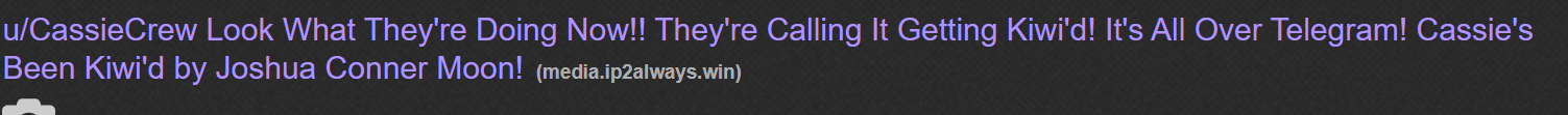 kiwid.png