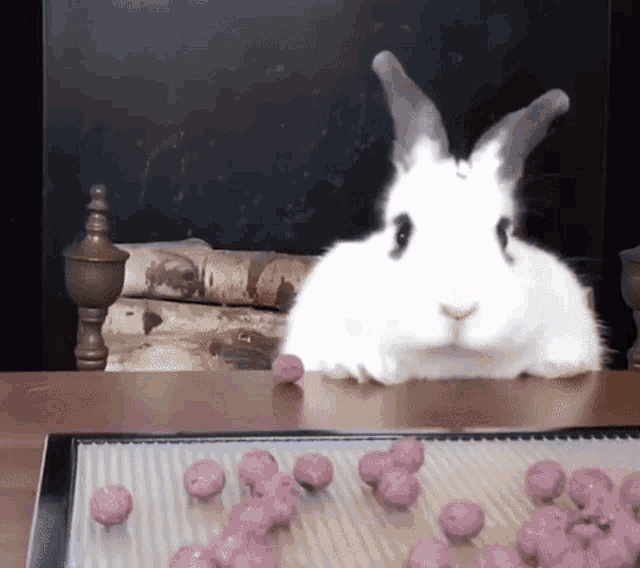 krol.gif