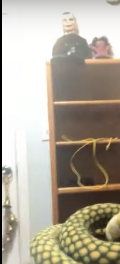 lair.png