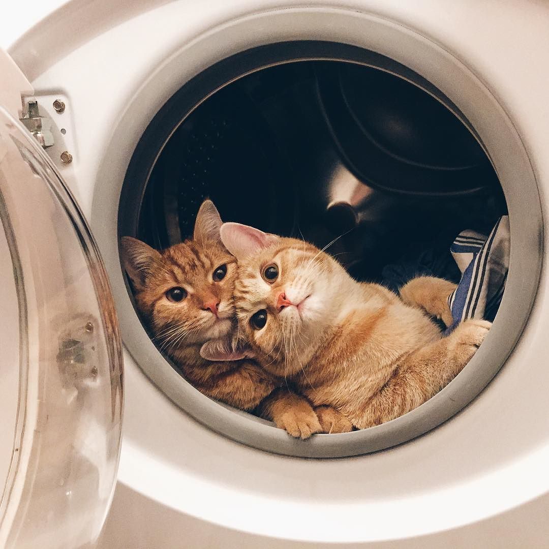 laundry.jpg