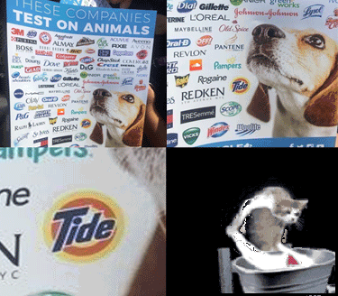 laundrycat.gif