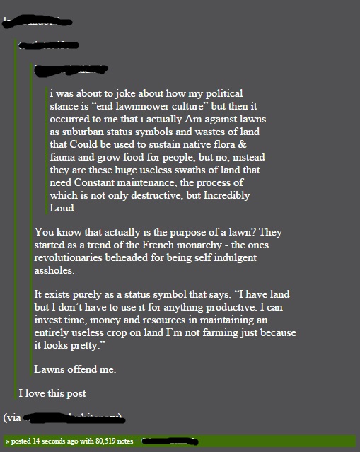 lawn.jpg