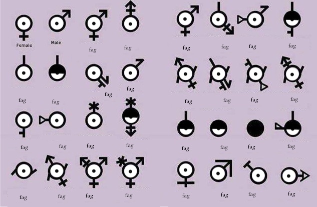 le gender.jpg