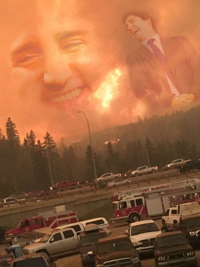 leaf.jpg