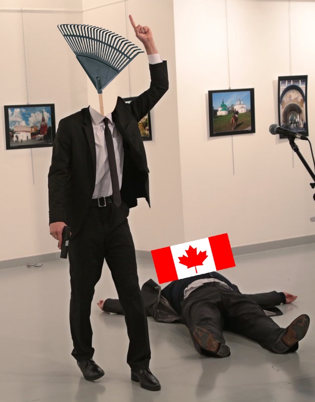 leaf.jpg