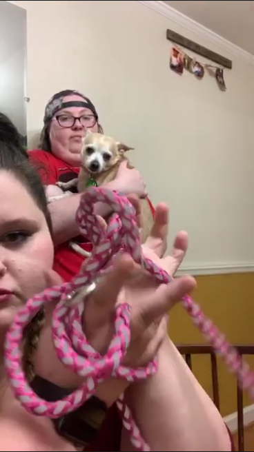 leash.png