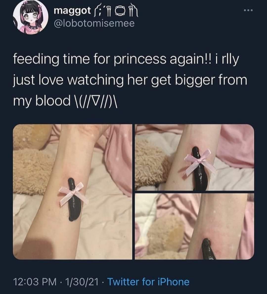 leech.jpg