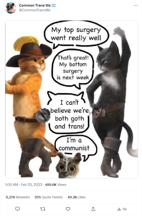 leftist meme.png