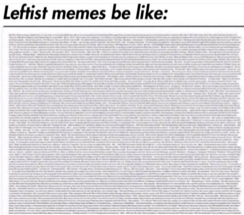 leftistmeme.jpg
