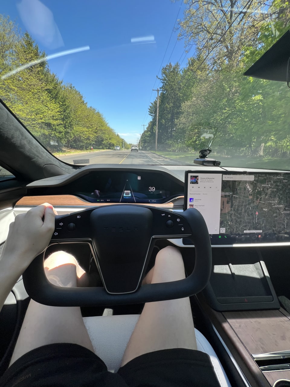 leg1.jpg