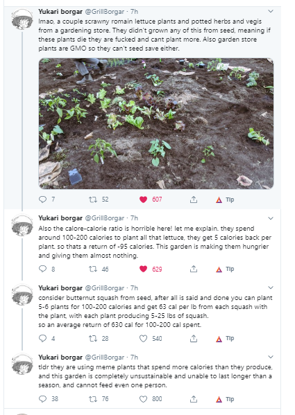 Lettuce.png