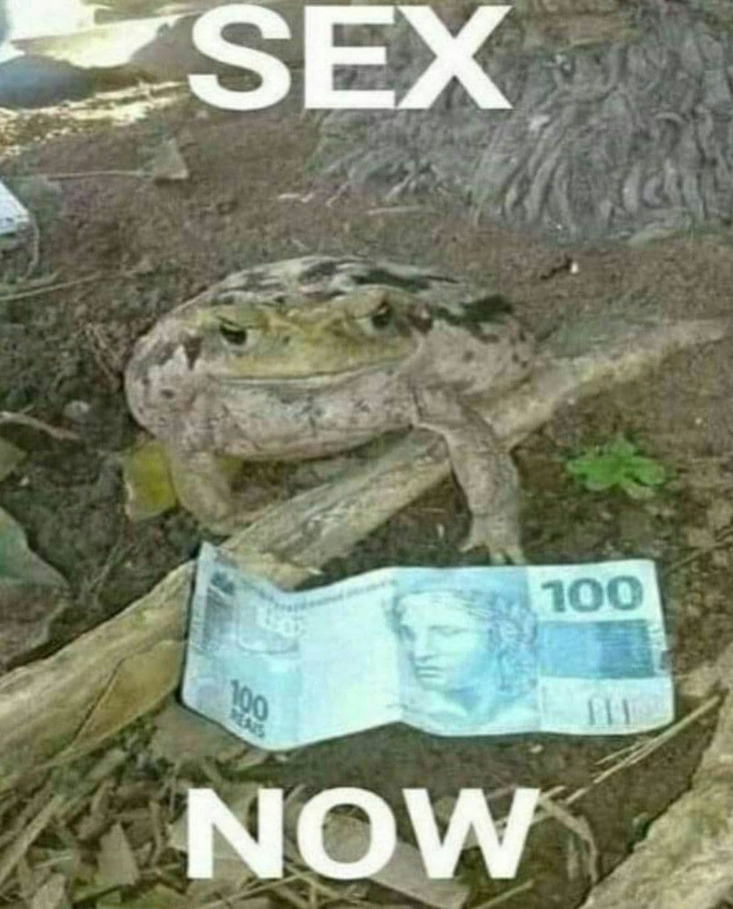 letz-do-it.jpg