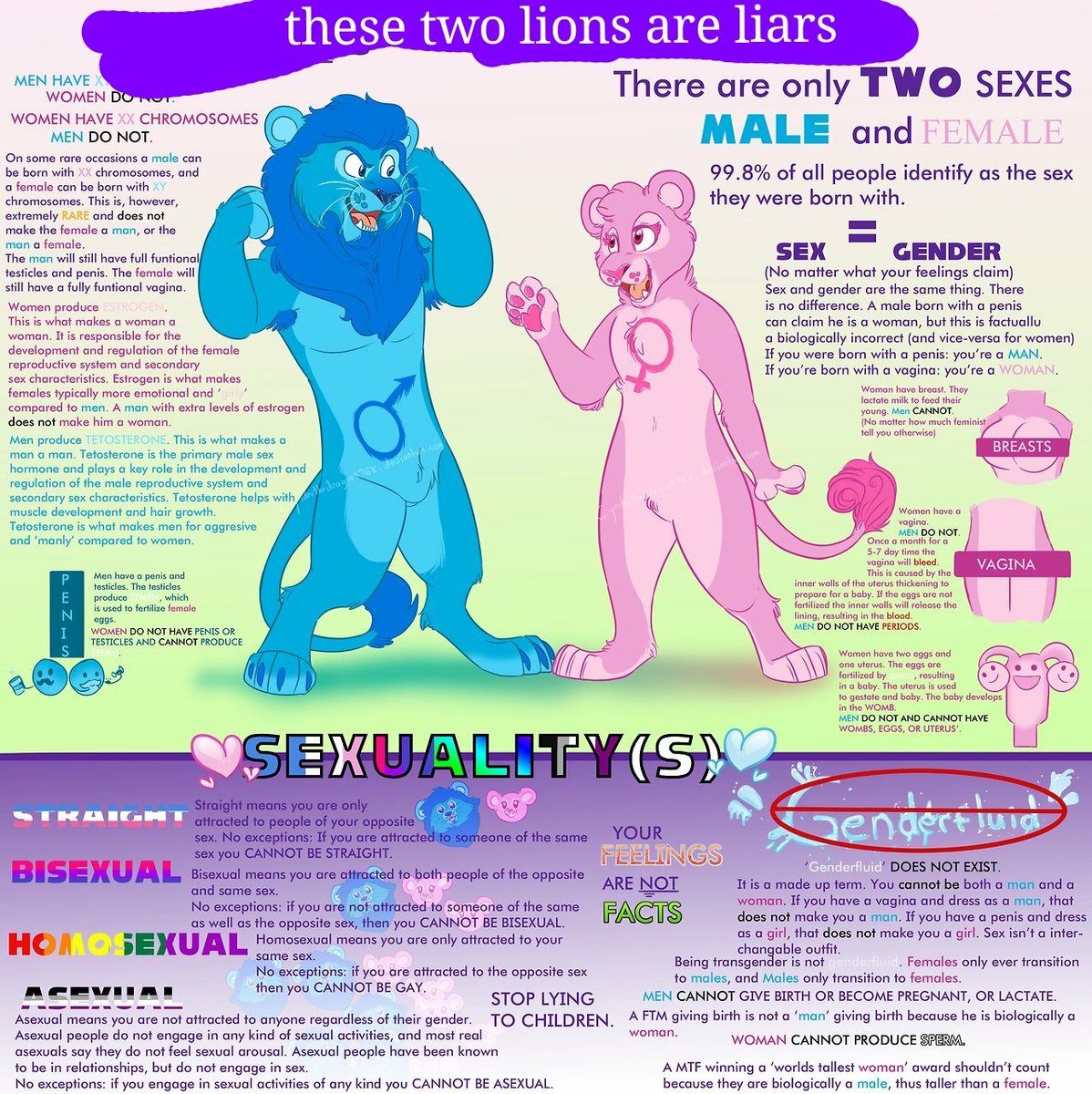liars.jpg
