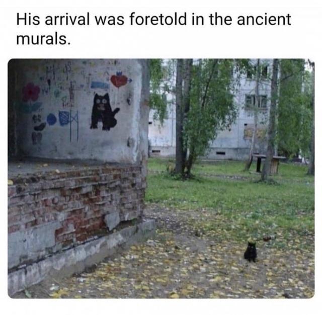 lIsozbU.jpeg