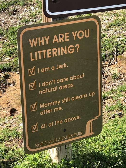 littering.jpeg