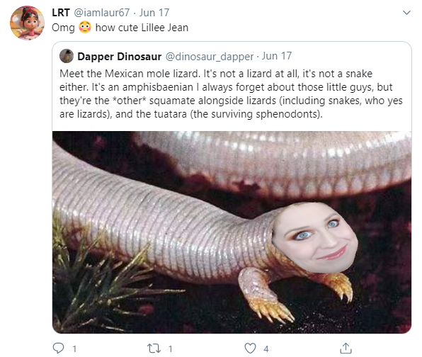 lizard.png