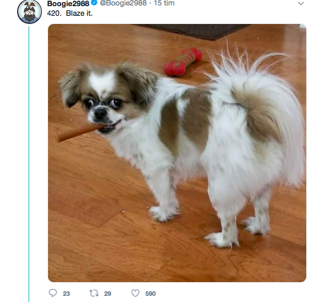 704681
