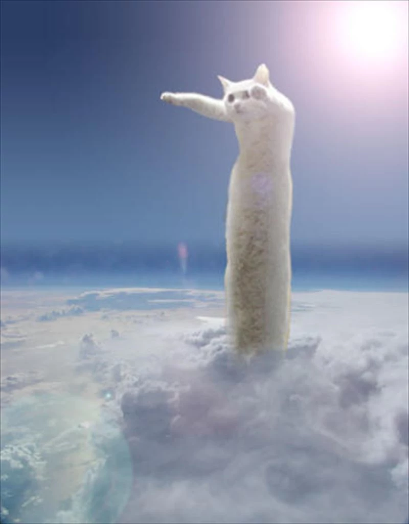 Longcat.png