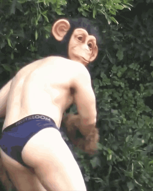 look-back-monkey-mask.gif