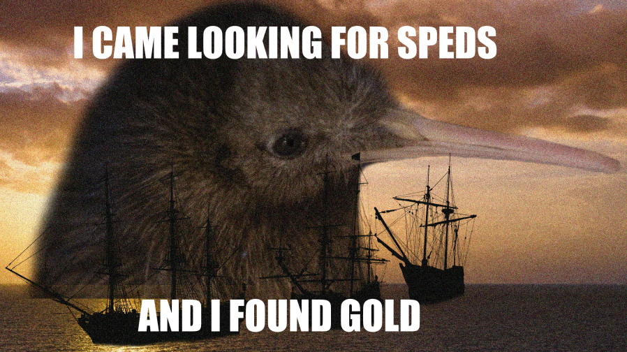 lOOKING FOR 12.png