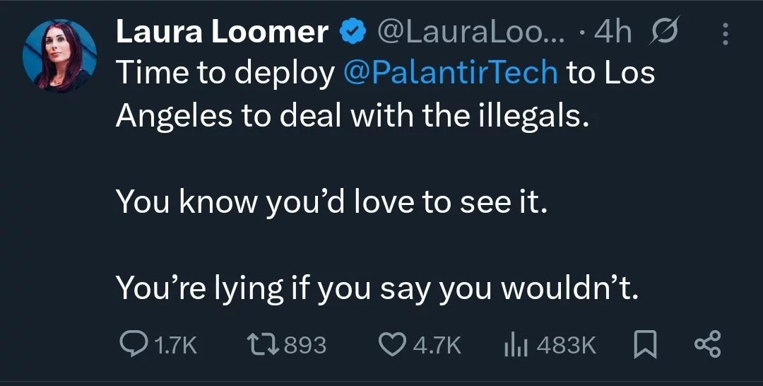 loomerpalantir.webp