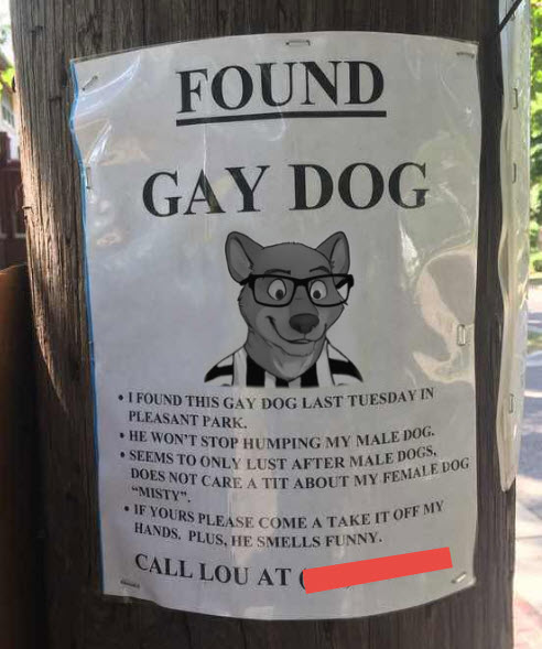 lostdog.jpg