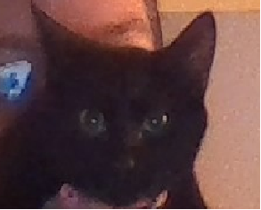 Luna.png