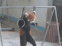Lunar Strength Excellency.gif
