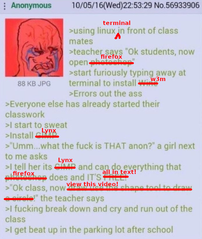 lynxinclass.jpg
