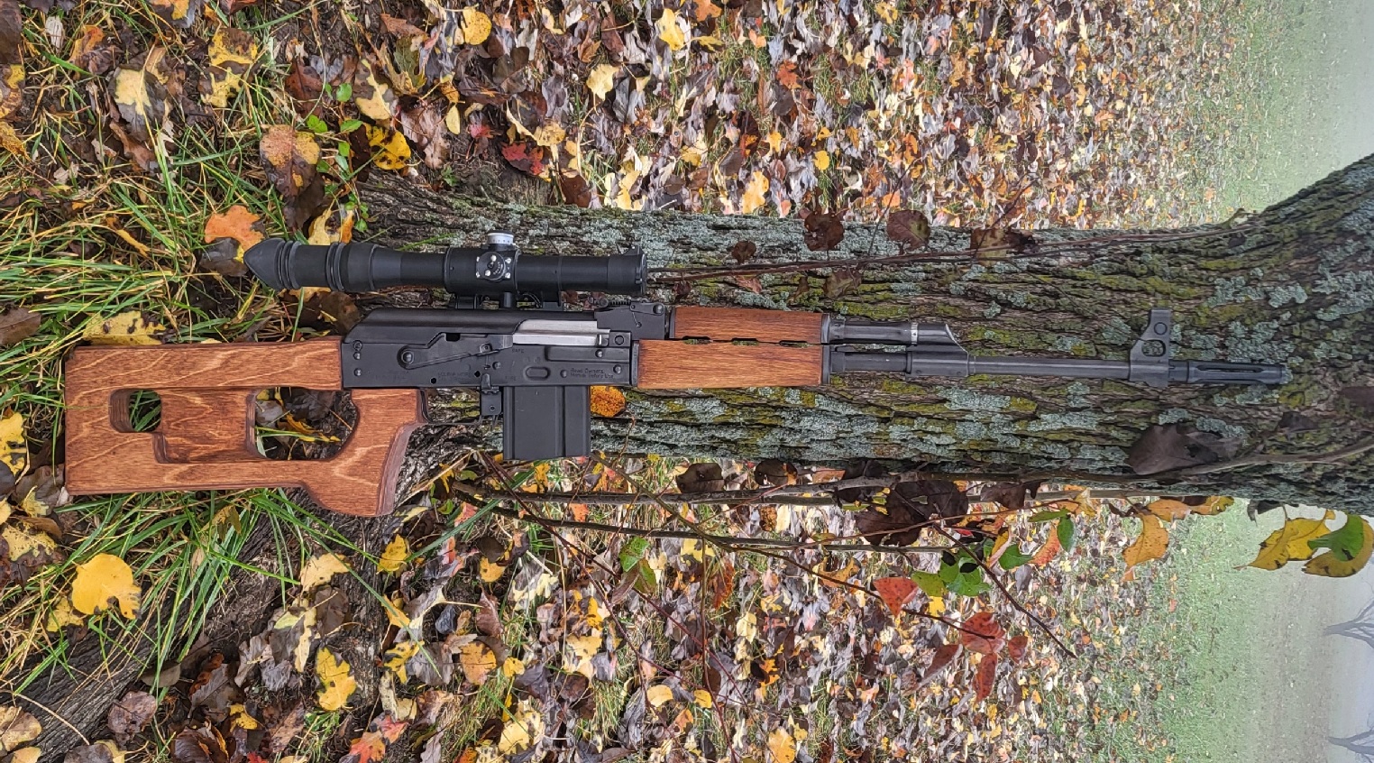 m77WIP.jpg