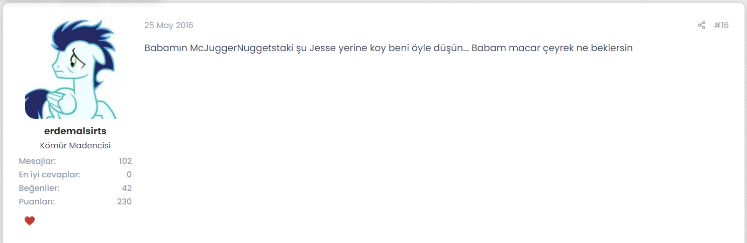 macar 1.jpg