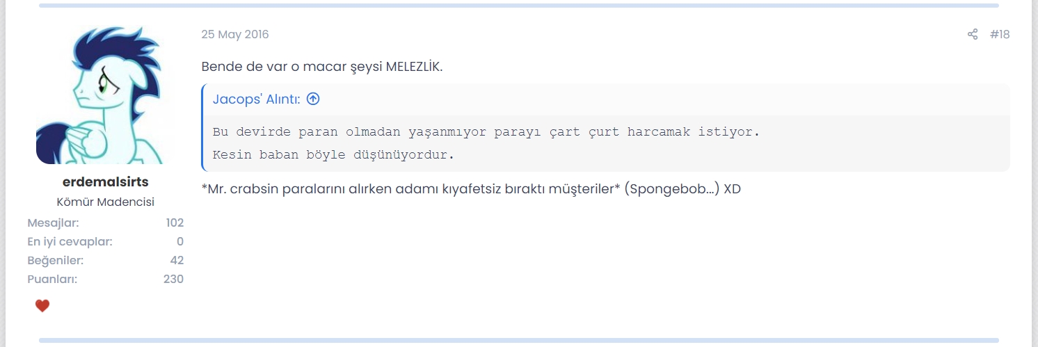 macar 2.jpg