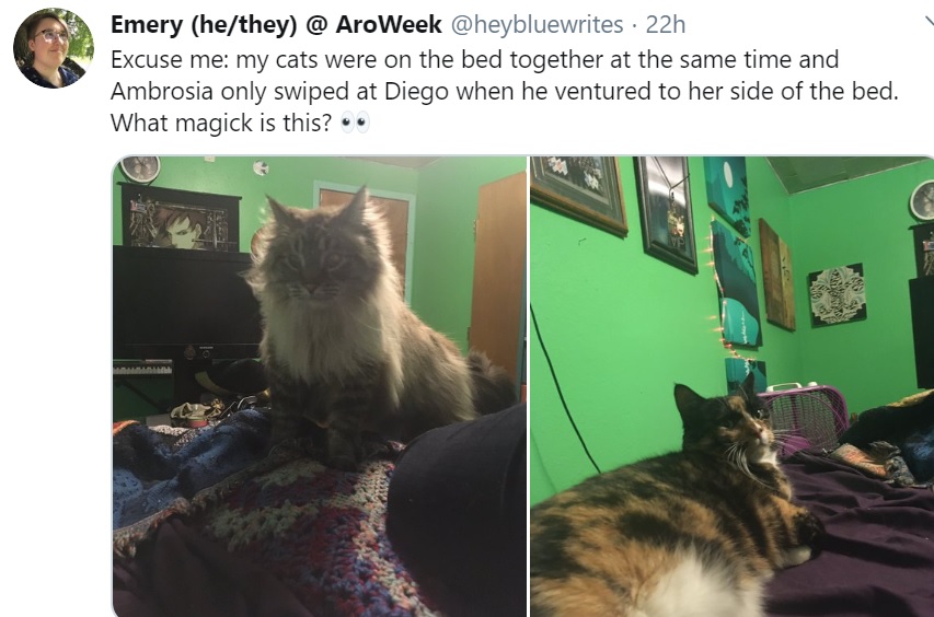 magick.jpg