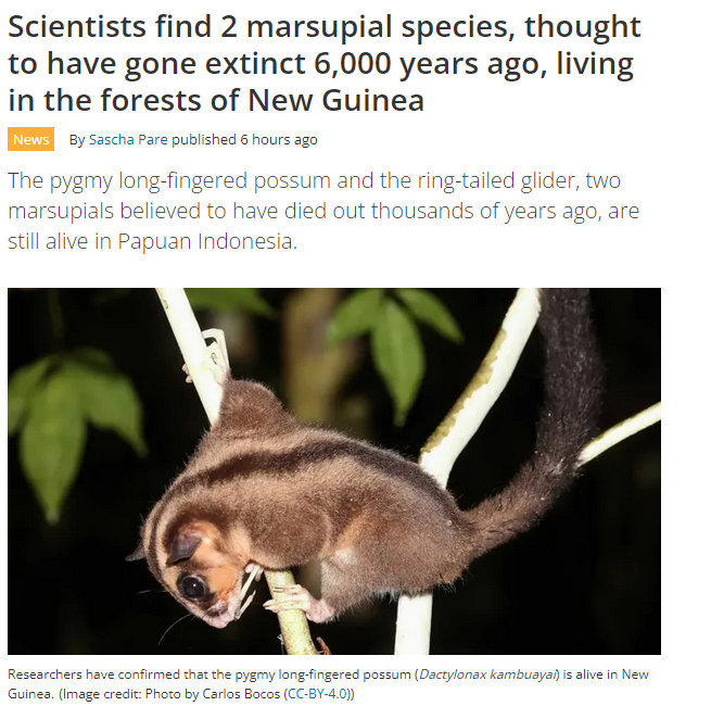 marsupials.jpg