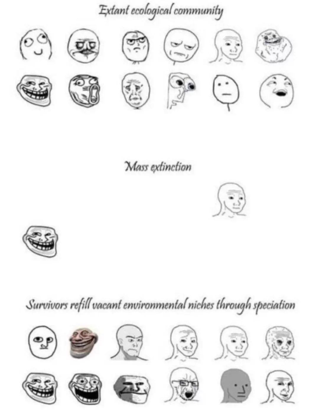 mass extinction.webp
