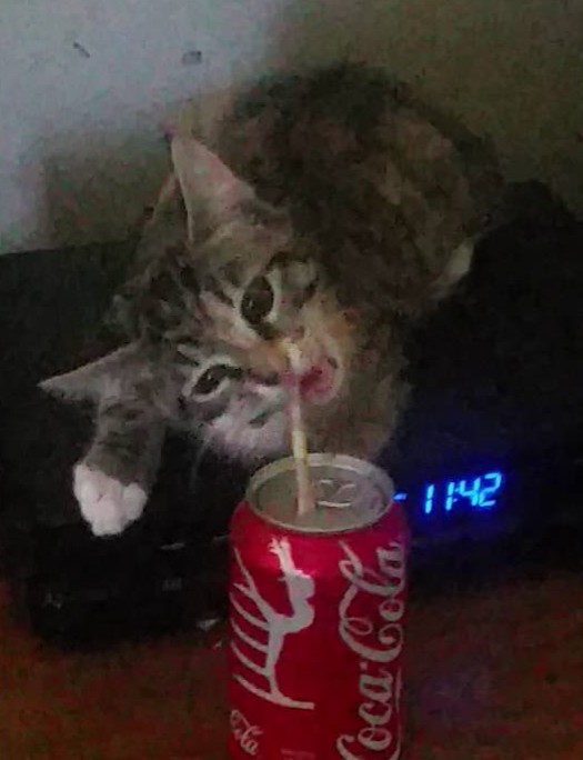 maxresdefault.jpg