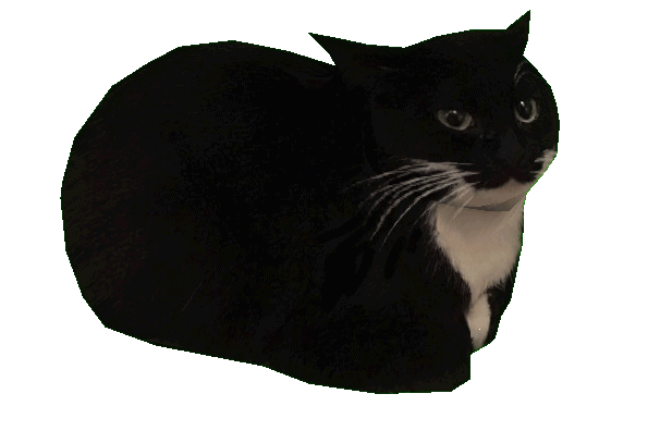 maxwell.gif