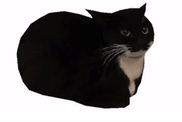 maxwell spin.gif