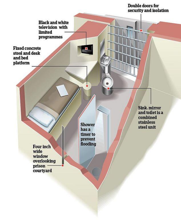 mcc cell.jpg