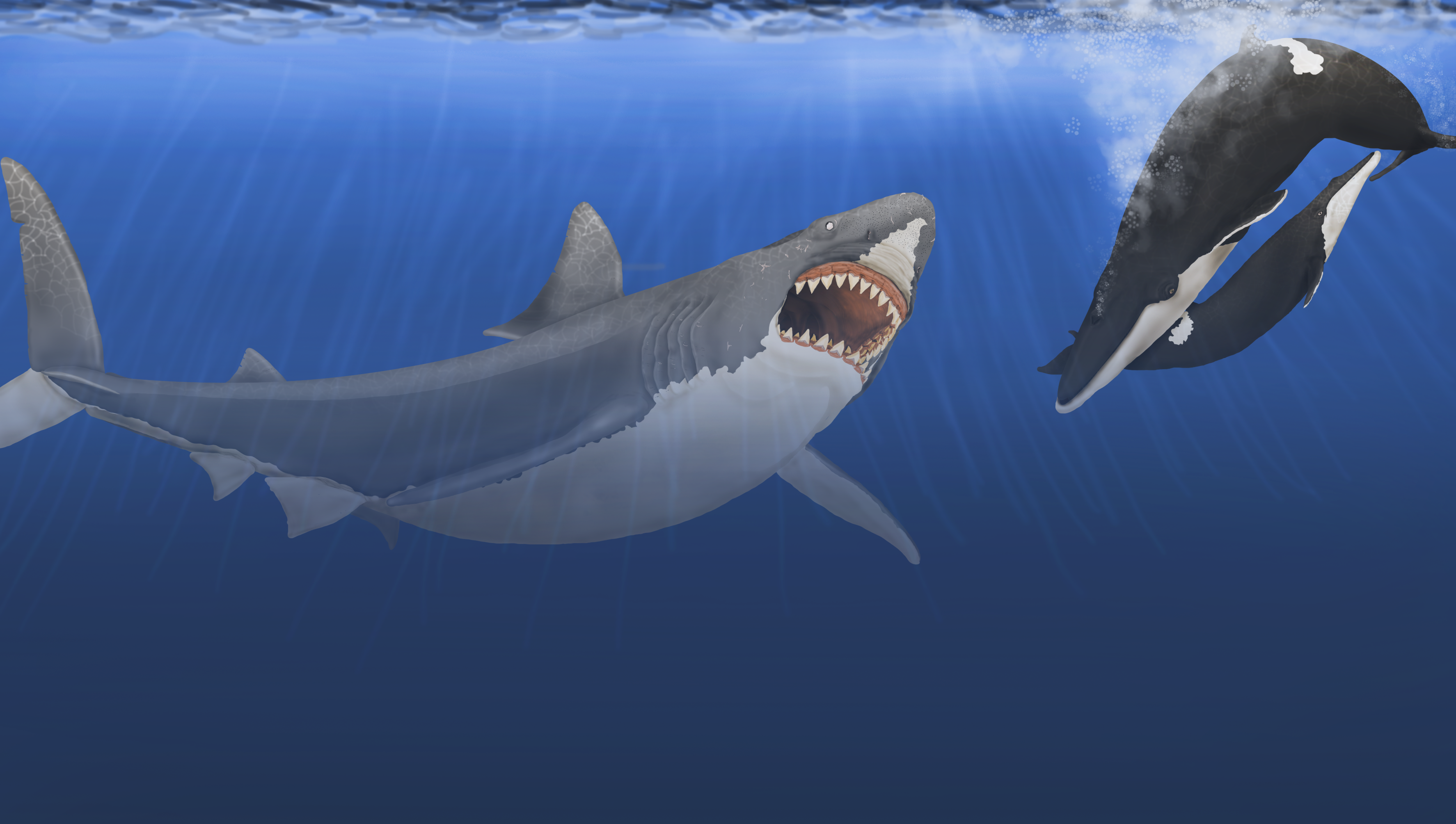 Megalodon.png