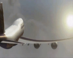 megashark.gif