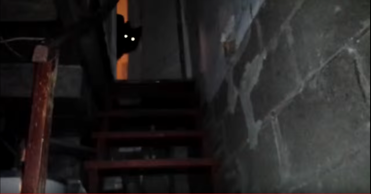 meiorafeji.PNG