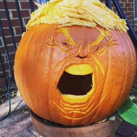 meme pumpkin04.jpg
